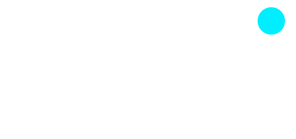HCI Human Capability Intelligence